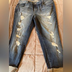 TORRID BOYFRIEND JEAN - distressed- Size 18
